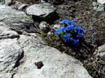 Muttenhorn12_038