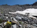 Muttenhorn12_137