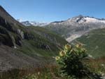 Muttenhorn12_141