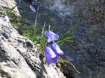 Muttenhorn12_143