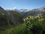 Muttenhorn12_144