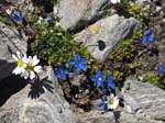 Muttenhorn12_160
