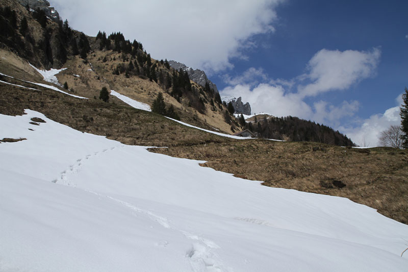 Oberes Sihltal 12_004