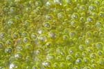 Oberes Sihltal 12_027