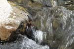 Oberes Sihltal 12_031