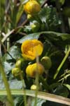 Oberes Sihltal 12_040