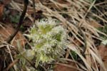 Oberes Sihltal 12_053