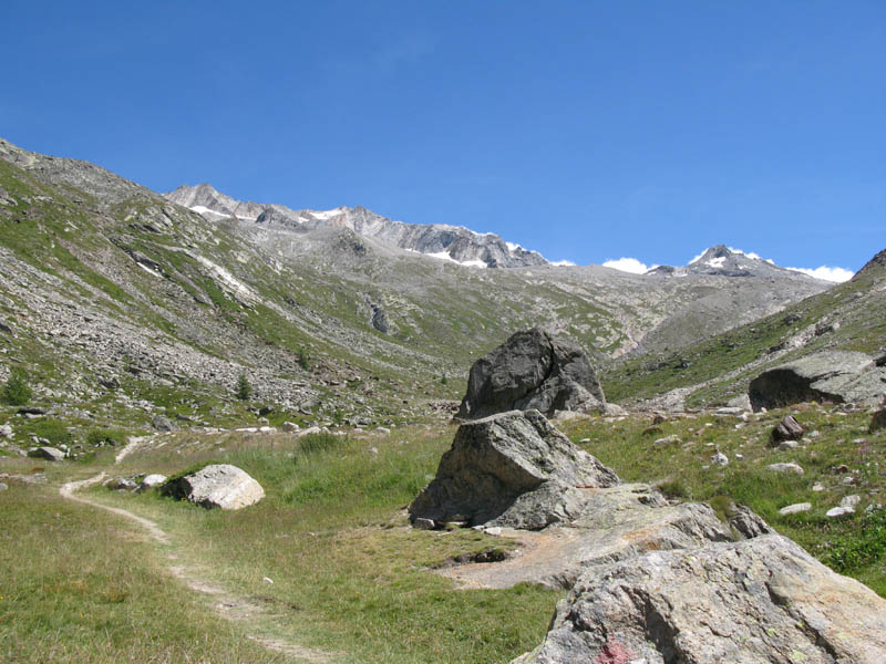 Weissmies08_010