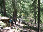 Weissmies08_003