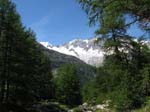 Weissmies08_008