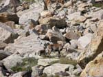 Weissmies08_020
