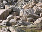 Weissmies08_022
