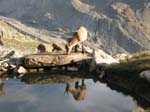 Weissmies08_026