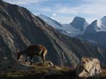 Weissmies08_027
