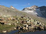 Weissmies08_028