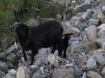 WissRoessli2011_32