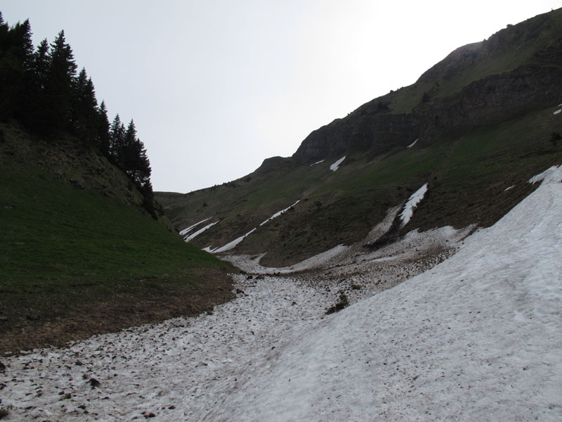 WissRoessli2012_01