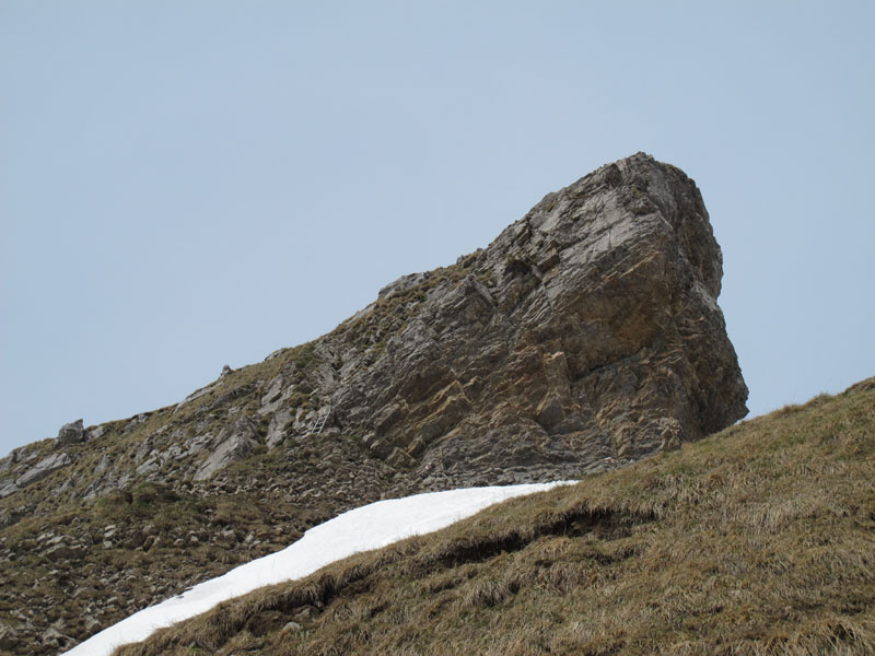 WissRoessli2012_41