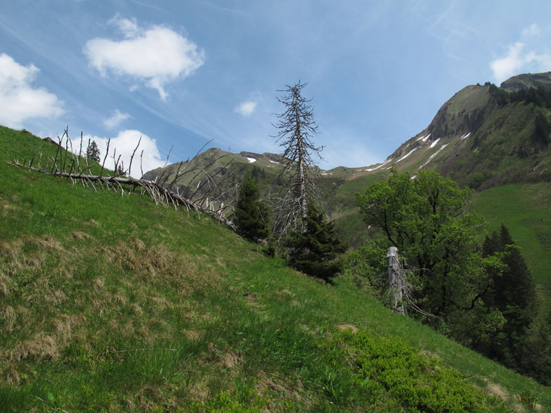 WissRoessli2012_46