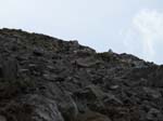 WissRoessli2012_22