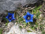 WissRoessli2012_23