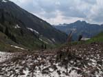 WissRoessli2012_44