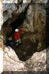 Bruchwald12.jpg (122752 Byte)