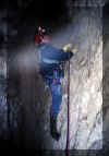 Bruchwald21.jpg (41109 Byte)