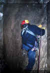 Bruchwald22.jpg (44415 Byte)