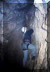 Bruchwald26.jpg (37915 Byte)