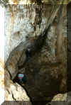 Bruchwald7.jpg (78876 Byte)
