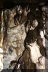 Bruchwald8.jpg (95056 Byte)