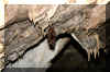 Bruchwald9.jpg (105162 Byte)
