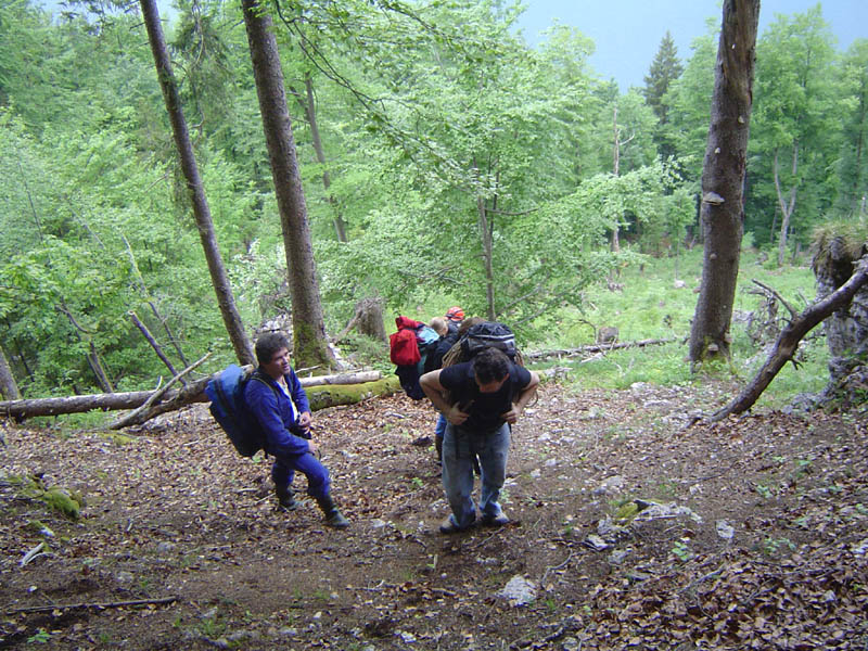 Bruchwaldhoele_010