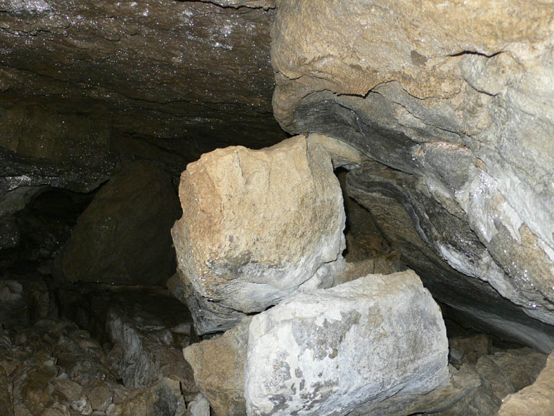 Bruchwaldhoele_040