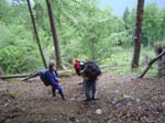 Bruchwaldhoele_010