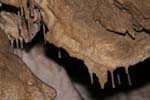 Bruchwaldhoele_029
