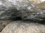 Bruchwaldhoele_035