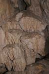 Bruchwaldhoele_039
