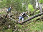 Bruchwaldhoele_121