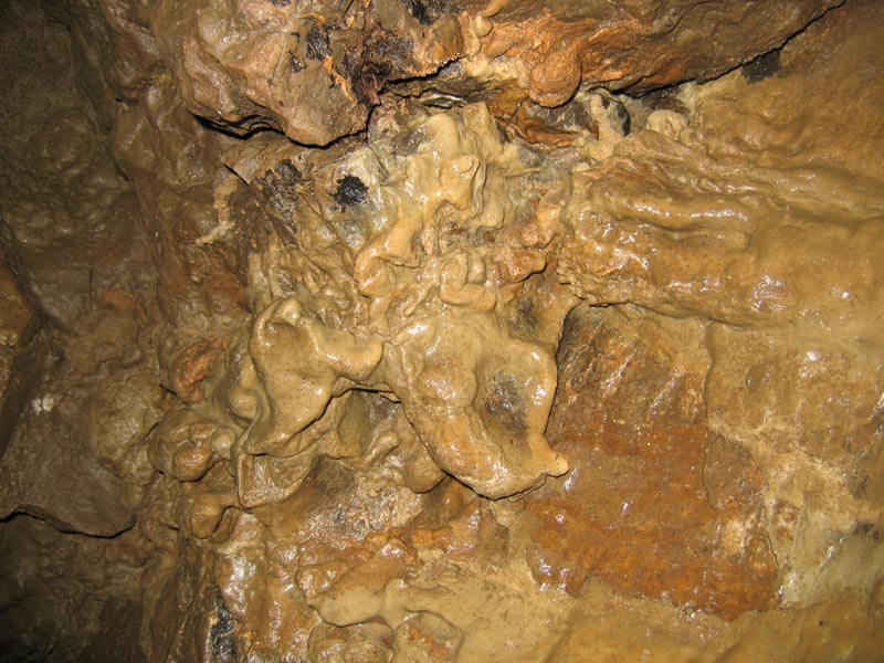 lauiloch06 (54)