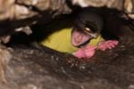 Lauiloch 09_105