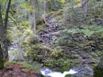 Schneckenloch2010_131