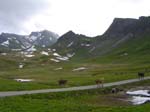 Unterirdischer Bach_001