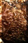 Hoelloch12.jpg (99117 Byte)