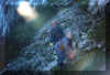 lachenstock2.jpg (51241 Byte)