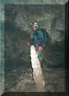lachenstock36.jpg (40682 Byte)