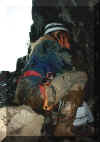 lachenstock39.jpg (40874 Byte)