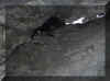 stiereloch19.jpg (38625 Byte)