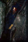 trueb1.jpg (21626 Byte)